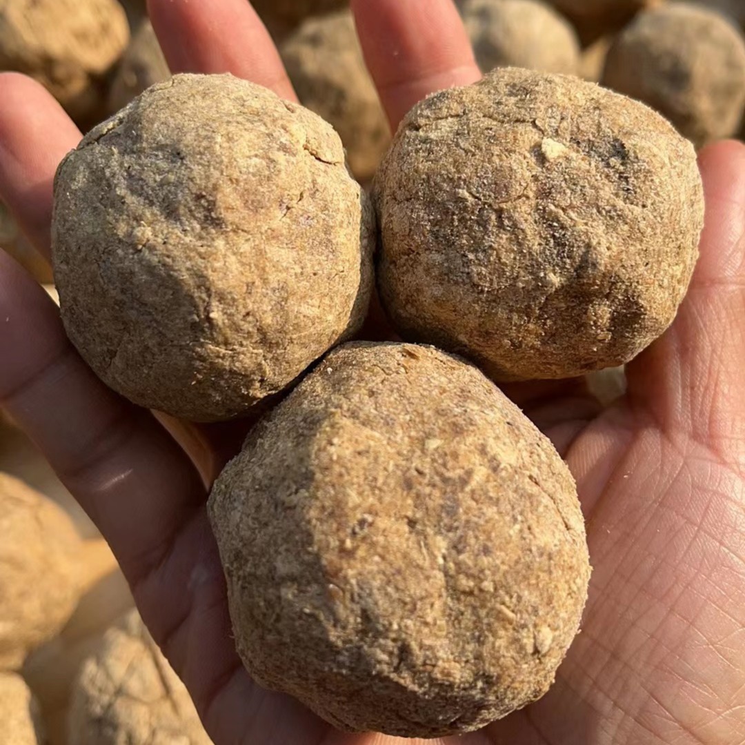 小熊  手工腐渣 吃得惯是香味，吃不惯是臭味