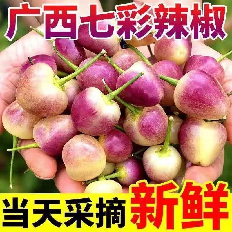 七彩椒广西特产小七色椒泡椒彩虹椒小灯笼椒新鲜小个五彩椒1斤
