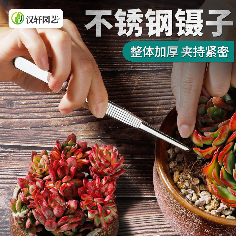 【主播推荐】汉轩园艺304不锈钢直头弯头镊子多肉专用加厚平头修根