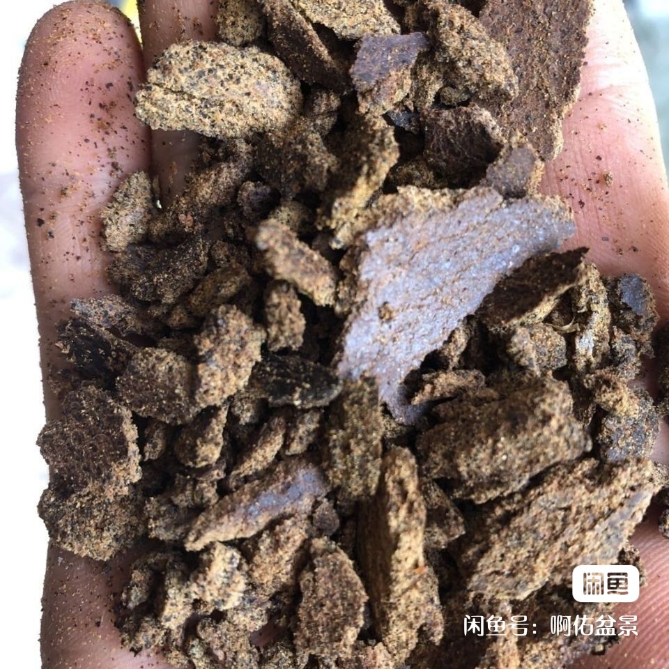 纯装菜油饼包邮农用营养油饼6斤装