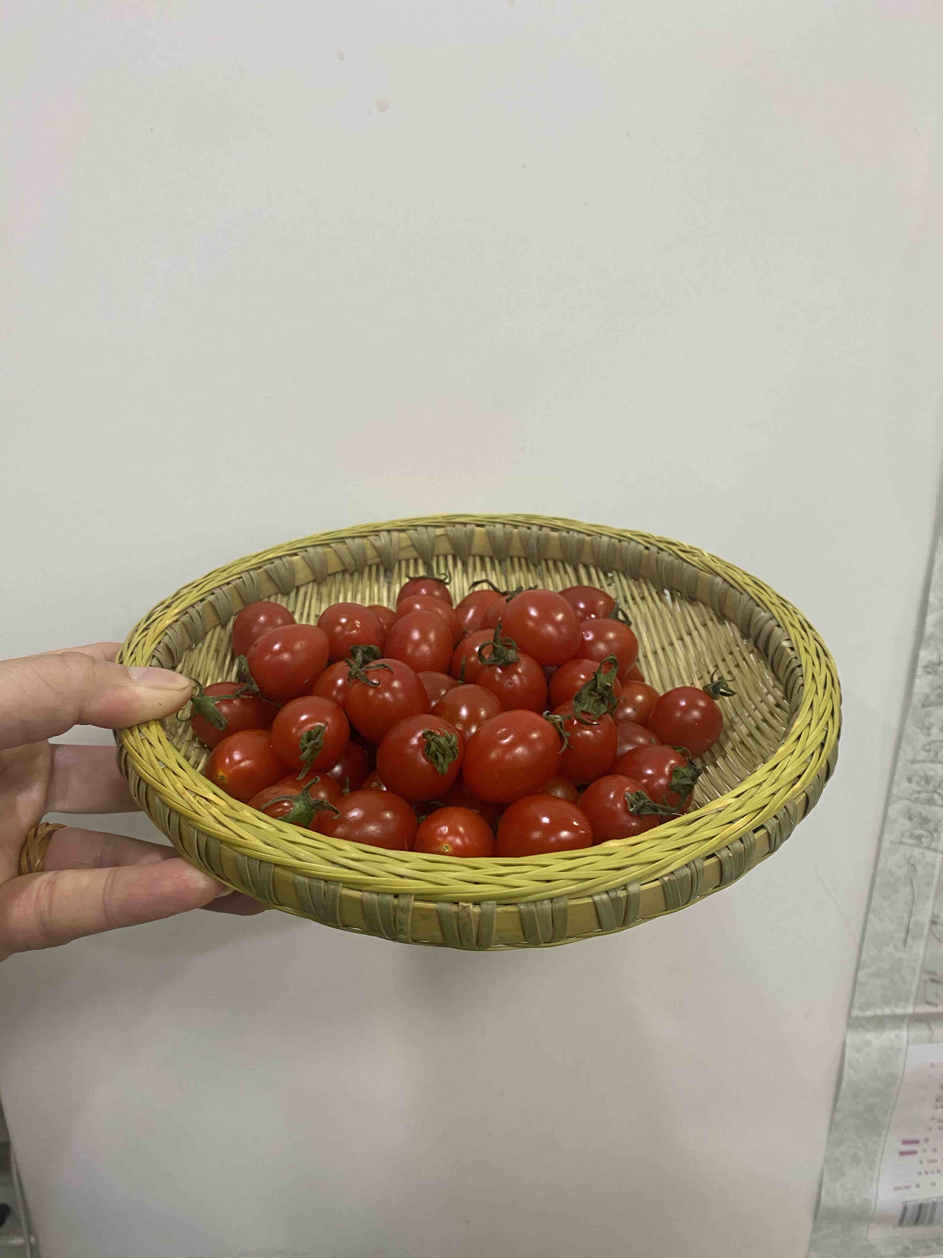 家用18口径迷你小号收纳篮