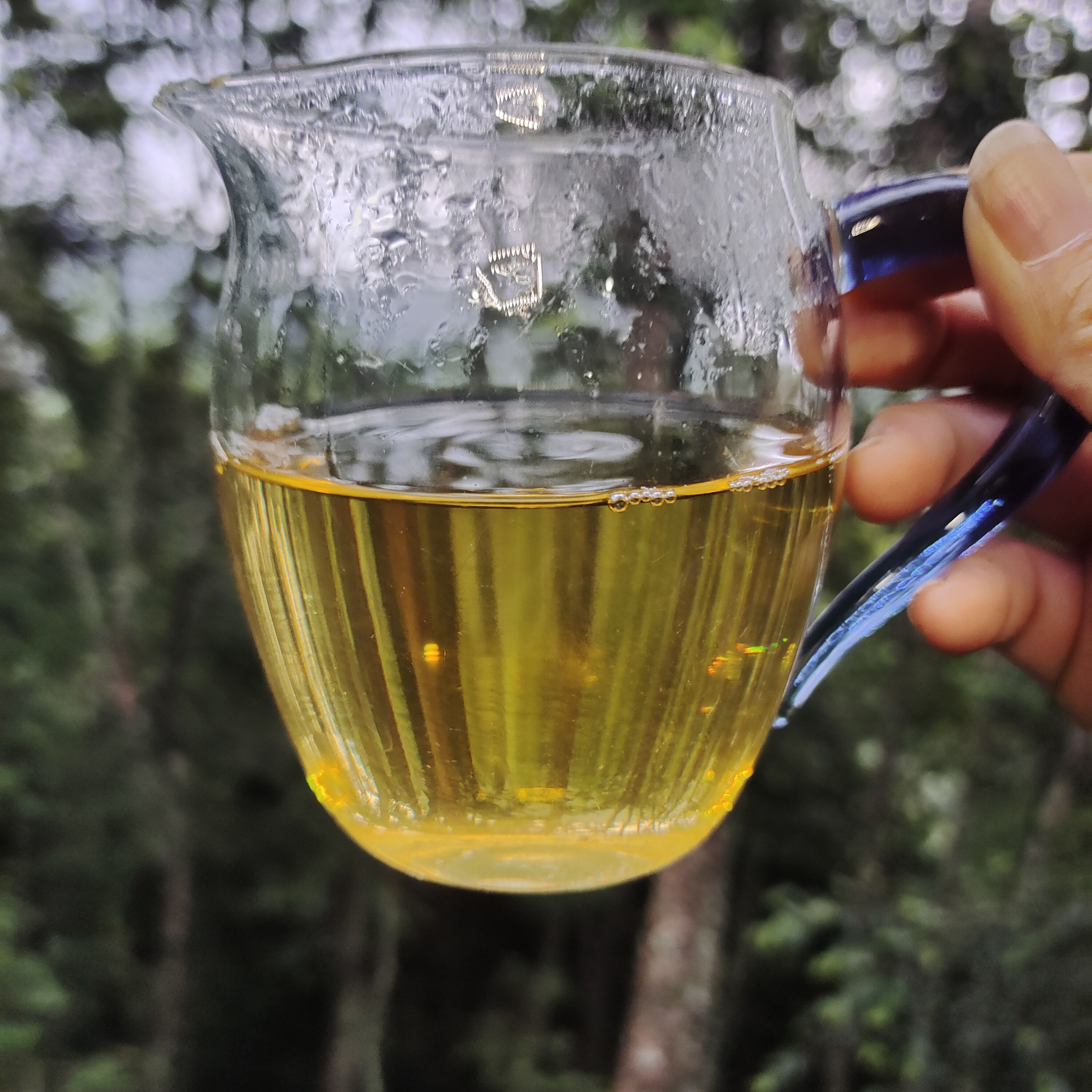 石茗源茶业2023年杨柳200克饼