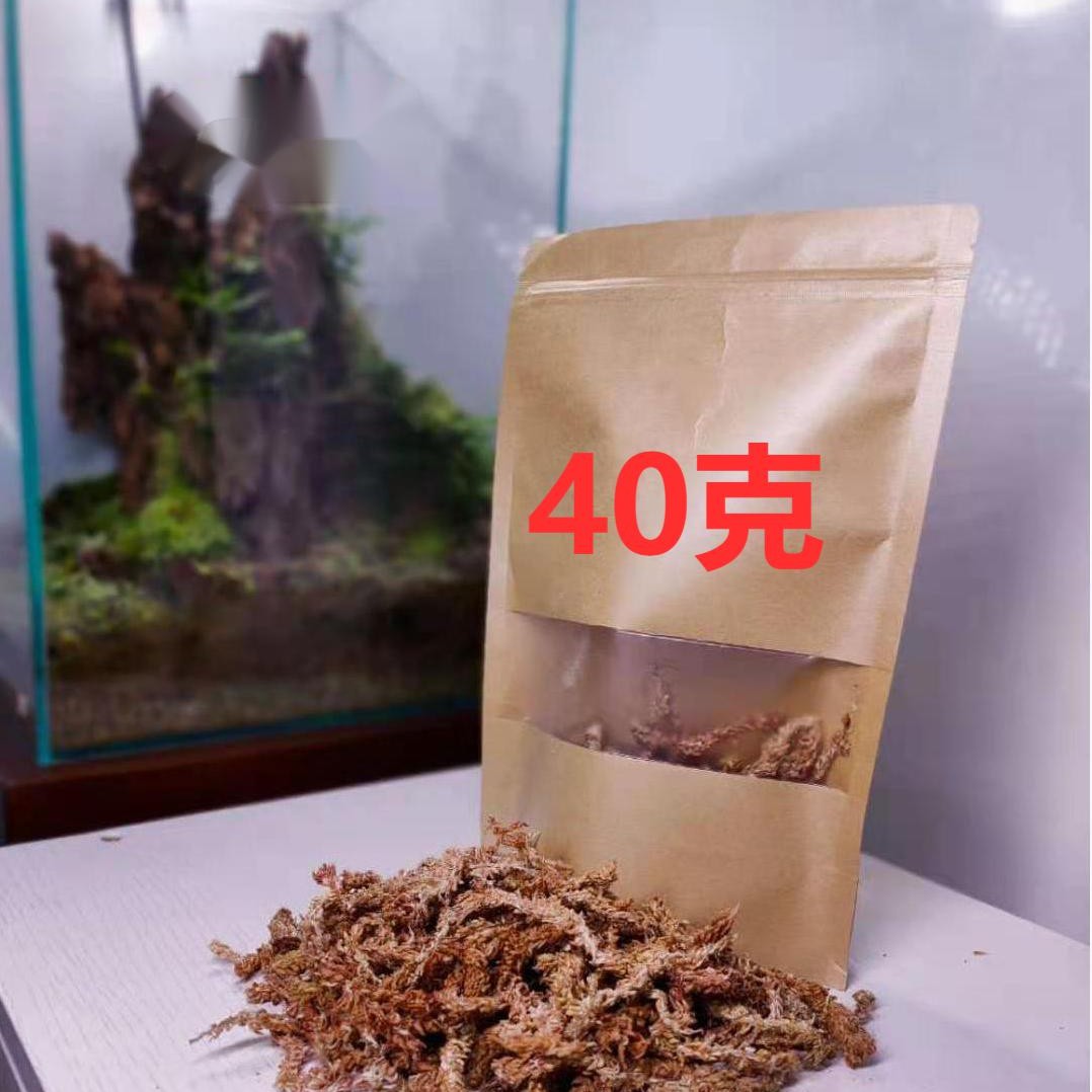 屾草干水苔，微景观素材