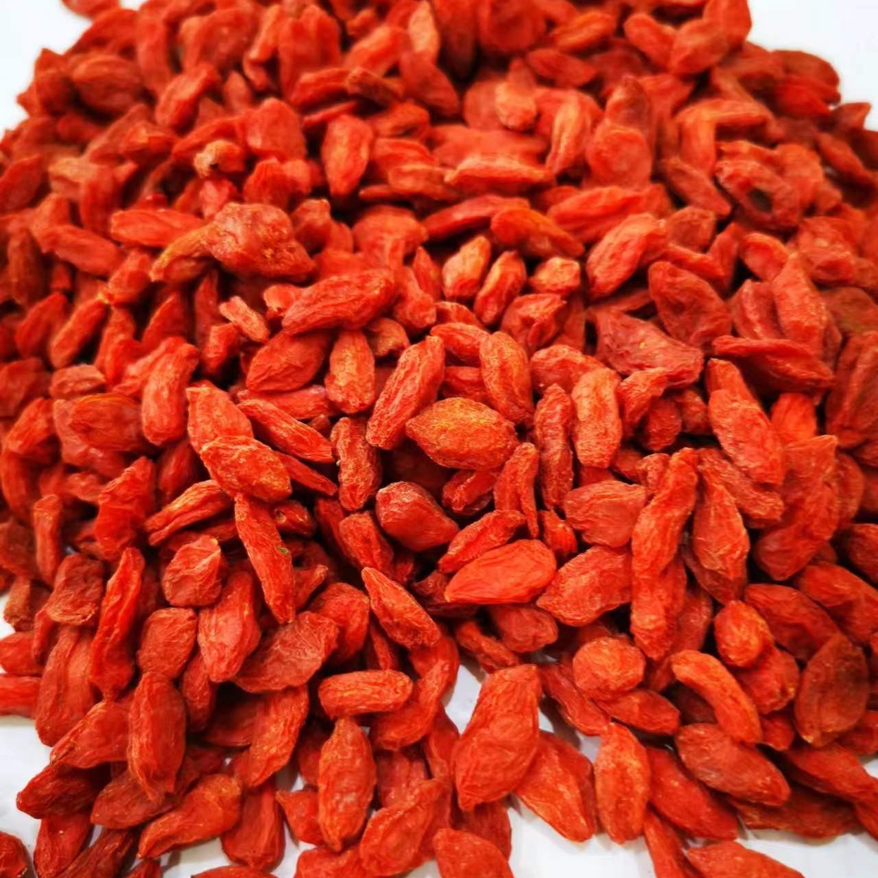 宁夏中宁免洗大果红枸杞250克装食用农产品净含量精品营养优选