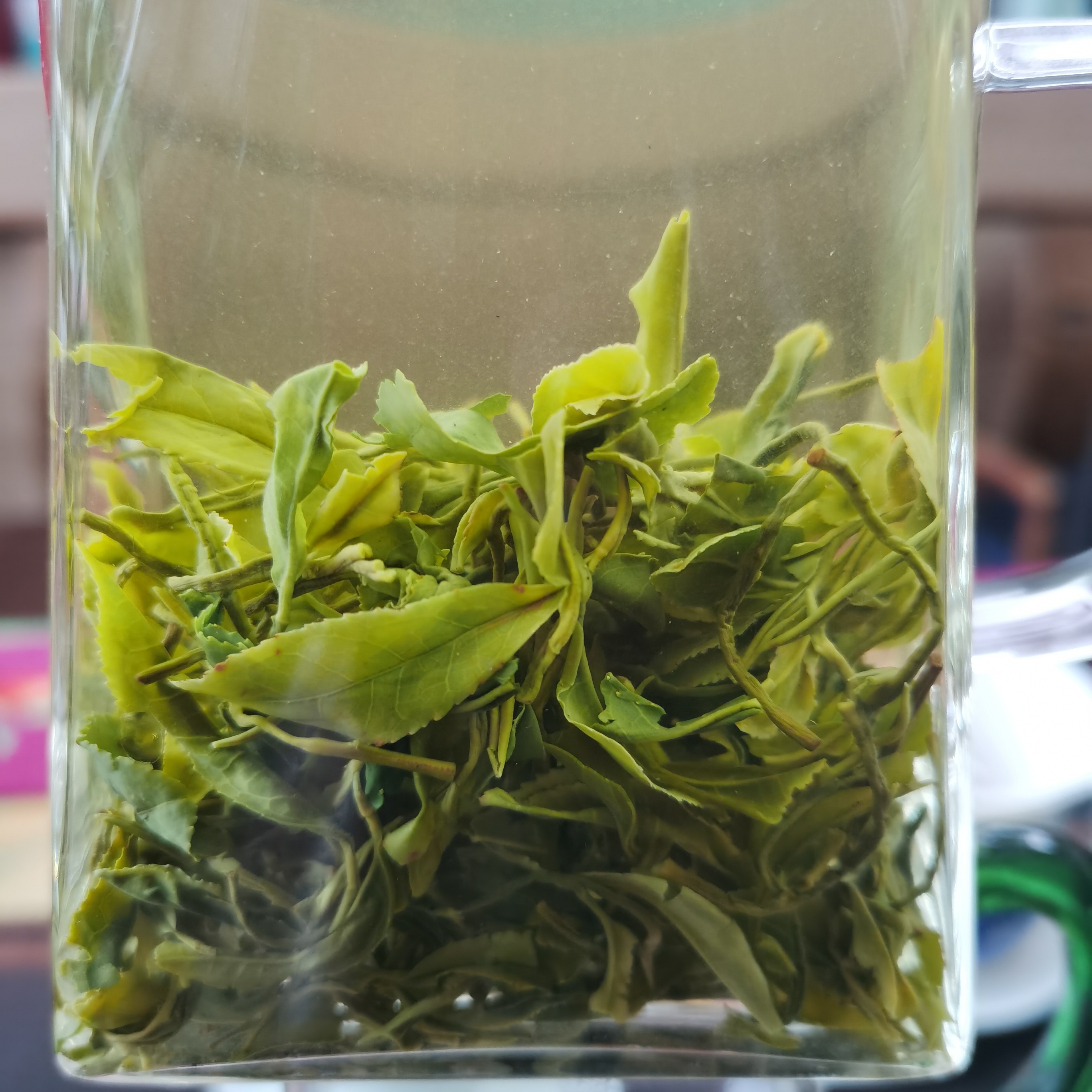 日照绿茶，豌豆鲜板栗香，生态绿茶芽头。