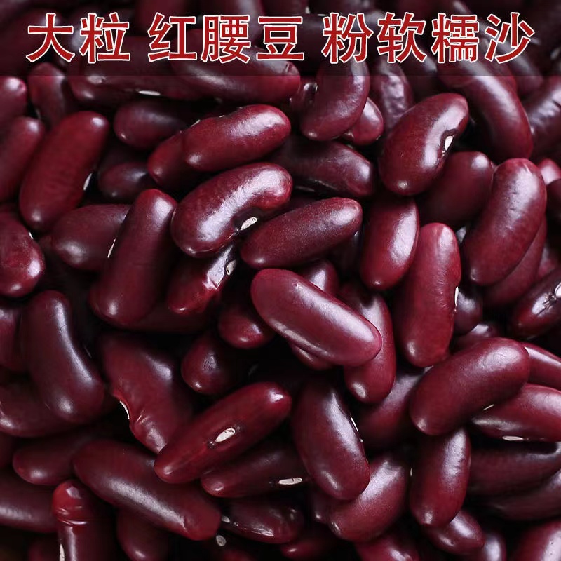 【25年新豆】大红豆红腰豆红芸豆红豆豆沙馅豆类五谷杂粮新货颗粒