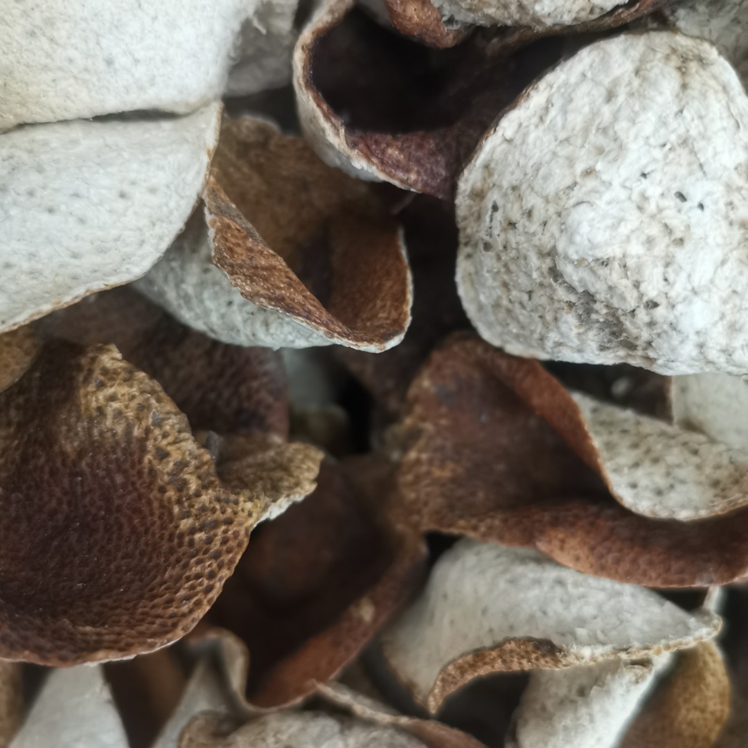 【熊哥推荐：原生态陈皮】