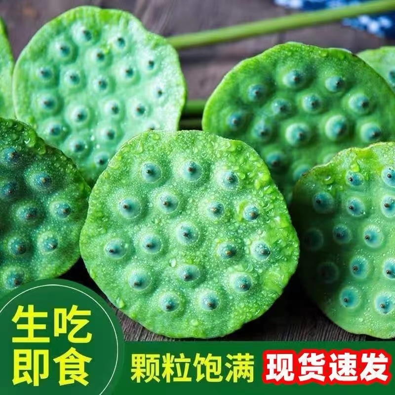 水果莲蓬湖北洪湖现摘生吃鲜嫩莲蓬清甜即食新鲜莲子2斤冷链加冰