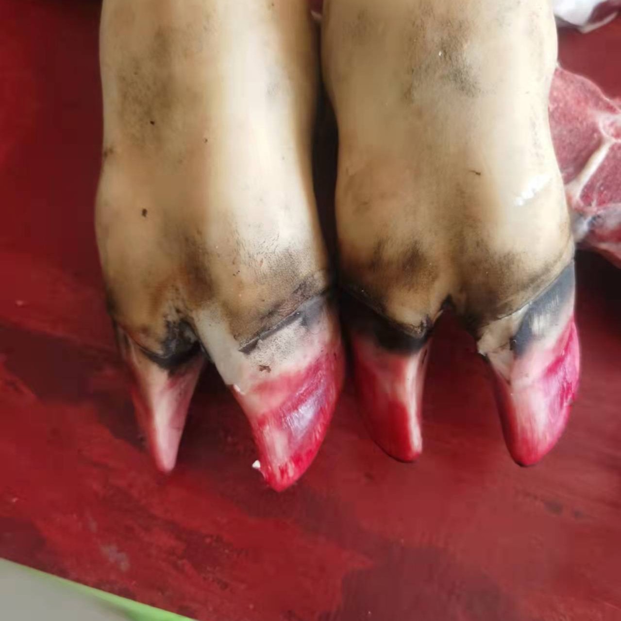 贵州土黄牛  牛脚，需要前脚后脚可以备注