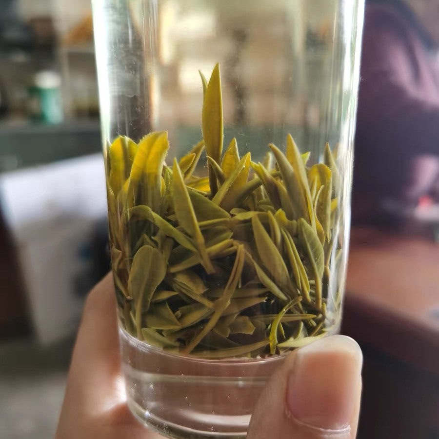 黄山毛峰2025年新茶明前毛峰精品毛峰春茶雀舌安徽内山毛尖绿茶叶
