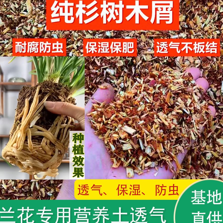 兰花专用植料营养液兰花土营养土纯杉木屑植料疏松透气壮根来芽