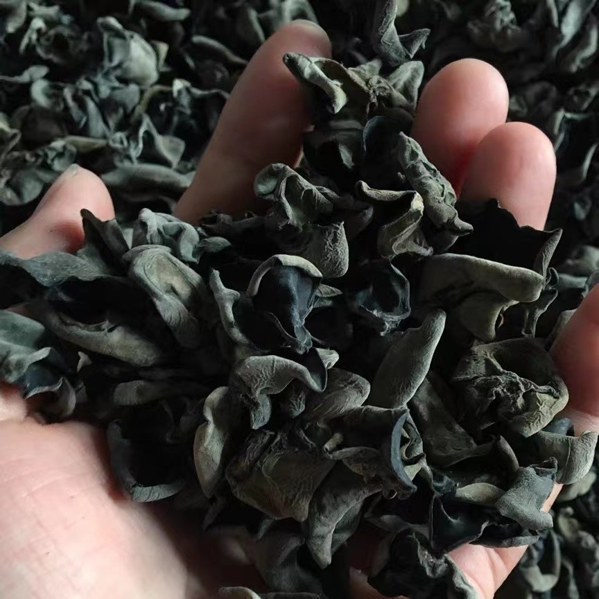 50g-500g庆元黑木耳干货小碗耳椴木小耳凉拌菜木耳无根特级黑木耳