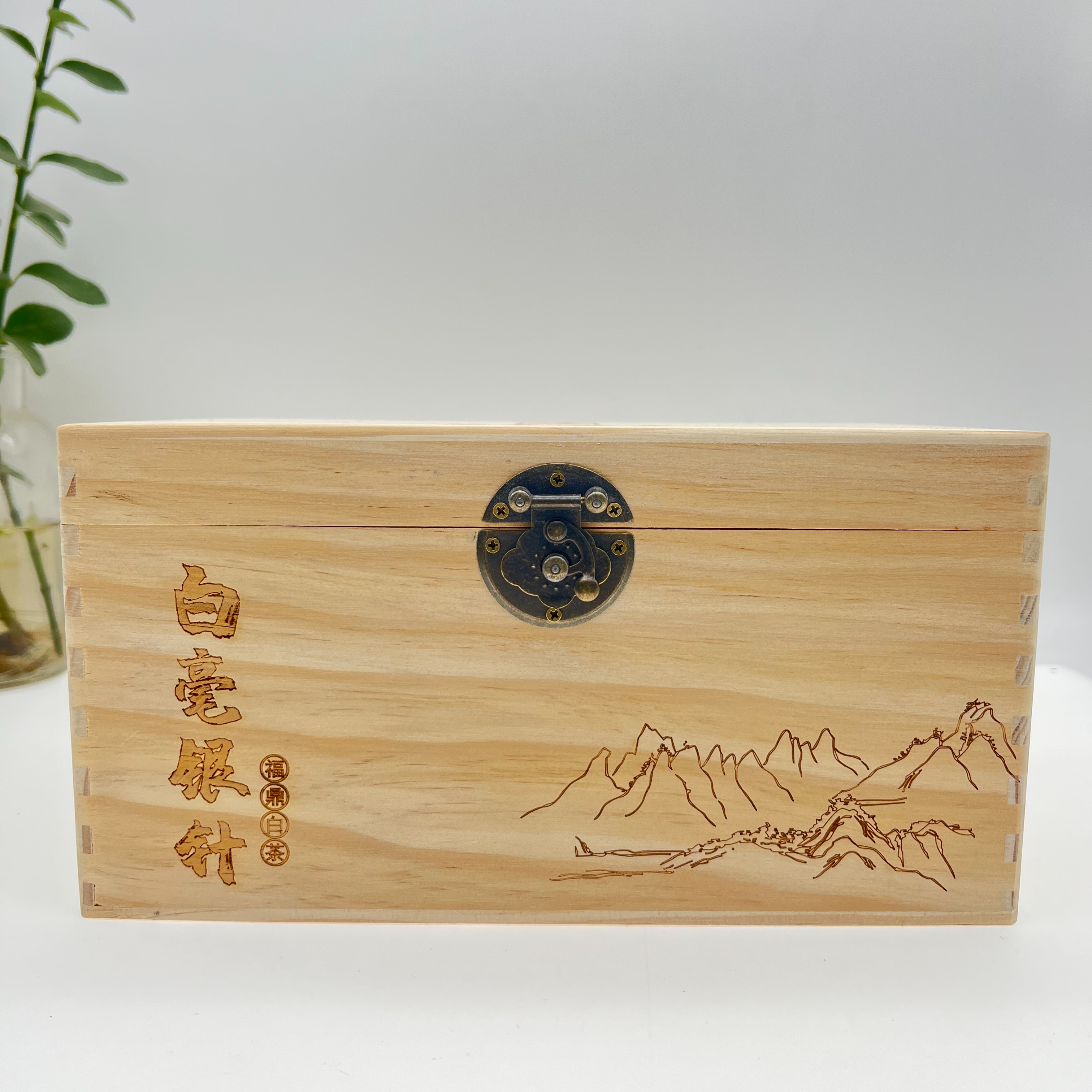 【正心堂】福鼎白茶•2022年高山头采白毫银针（250克）