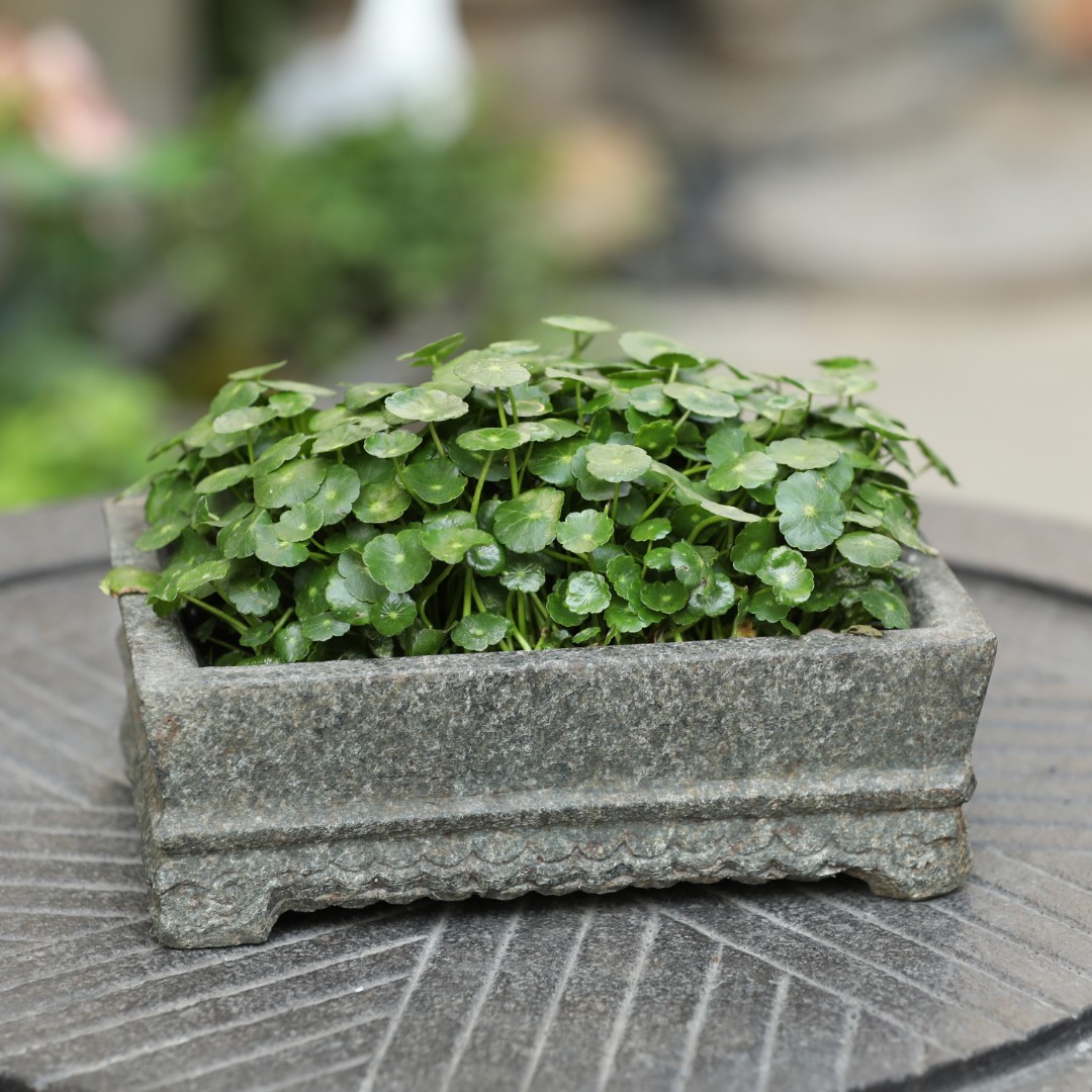 小方槽花器禅意装饰摆件