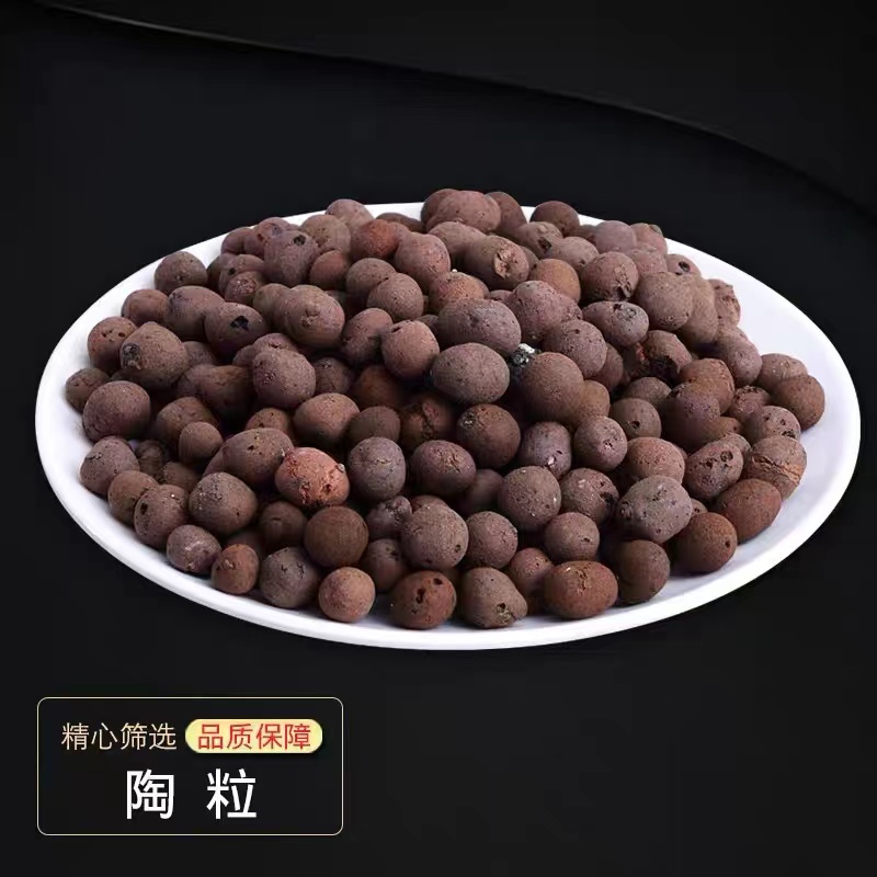 花卉陶粒营养土垫底养花透气颗粒专用5升装（中号）铺面多肉垫底