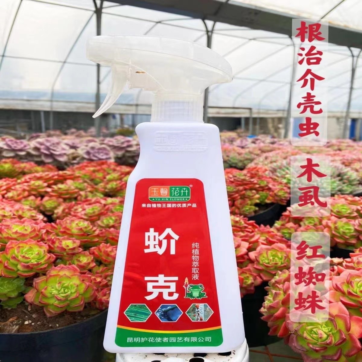多肉花卉盆栽园艺优质杀虫杀菌剂 蚧克虫喷剂 防虫害增肥植物萃取