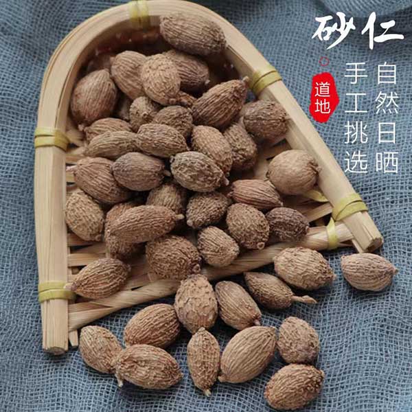 春壳砂干果阳春特产壳砂煲汤蒸肉入药春砂增香卤料产地香料调味料