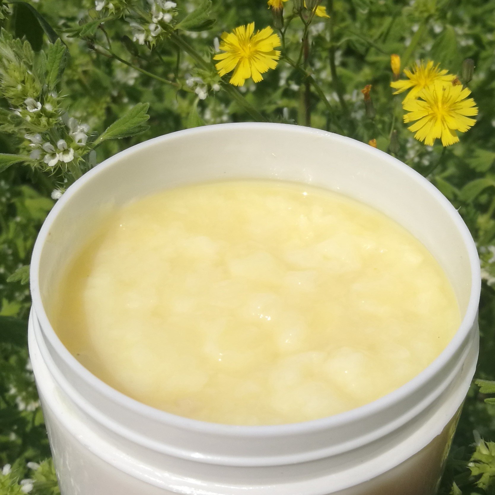 沂蒙山 现取 蜂王浆  皇浆250克 JJ