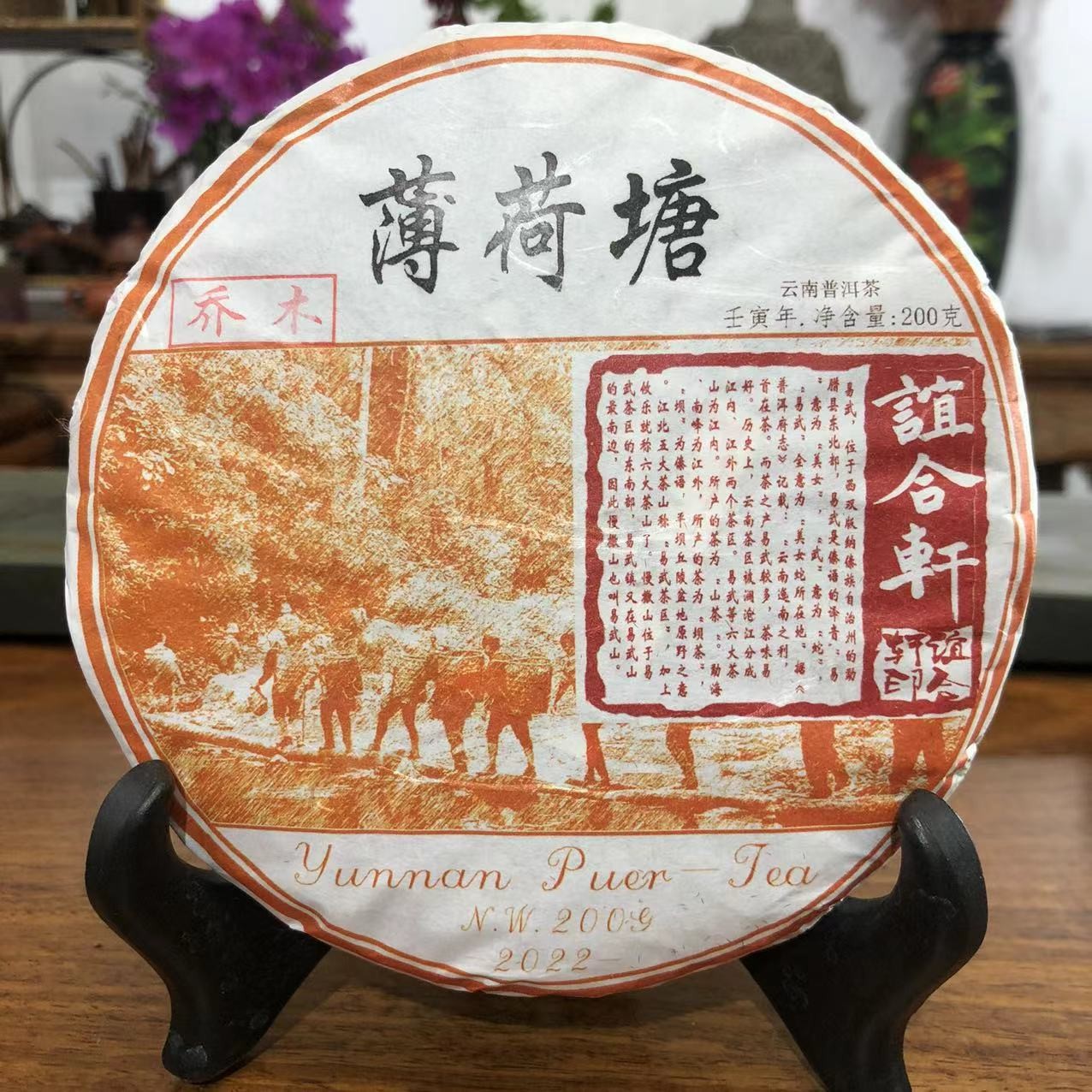  2022年 谊合轩 薄荷塘 三类乔木（小树）生茶