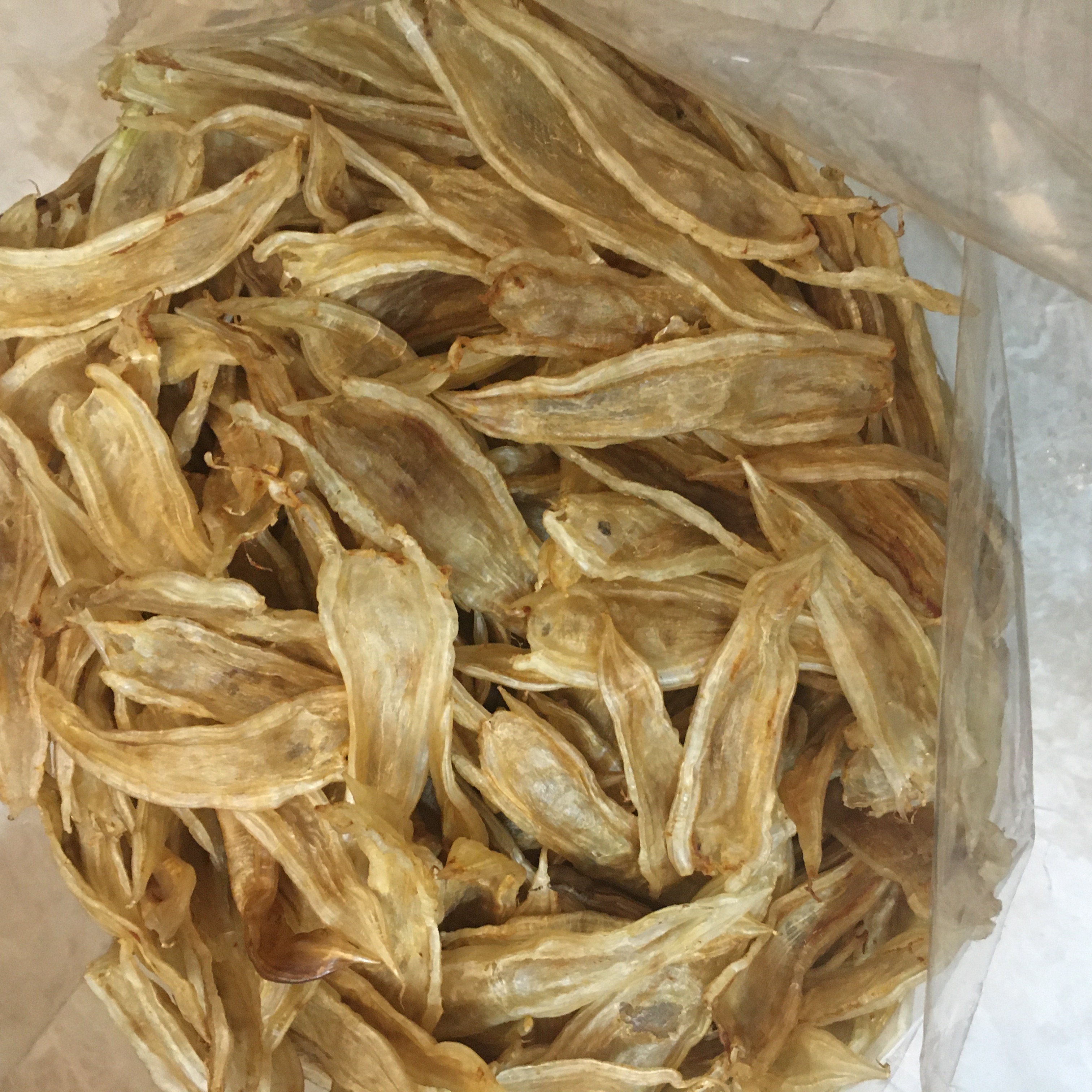 广东双背鱼胶130头-140头左右250g-500g包邮