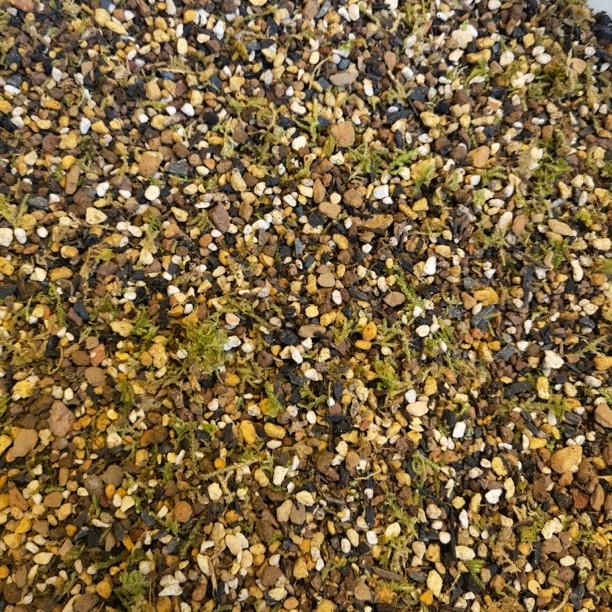 自用铺面土（3斤，可种10-12盆）
