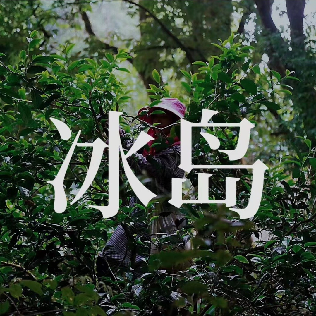 【新粉福利】普洱茶礼包