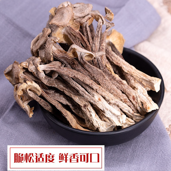 鹿茸菇无硫干锅爆炒涮火锅煲汤营养滋补孕养生