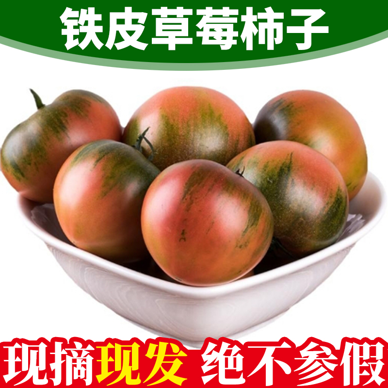 丹东盘锦铁皮柿子草莓柿子绿腚柿子鹰爪番茄草莓西红柿三斤五斤