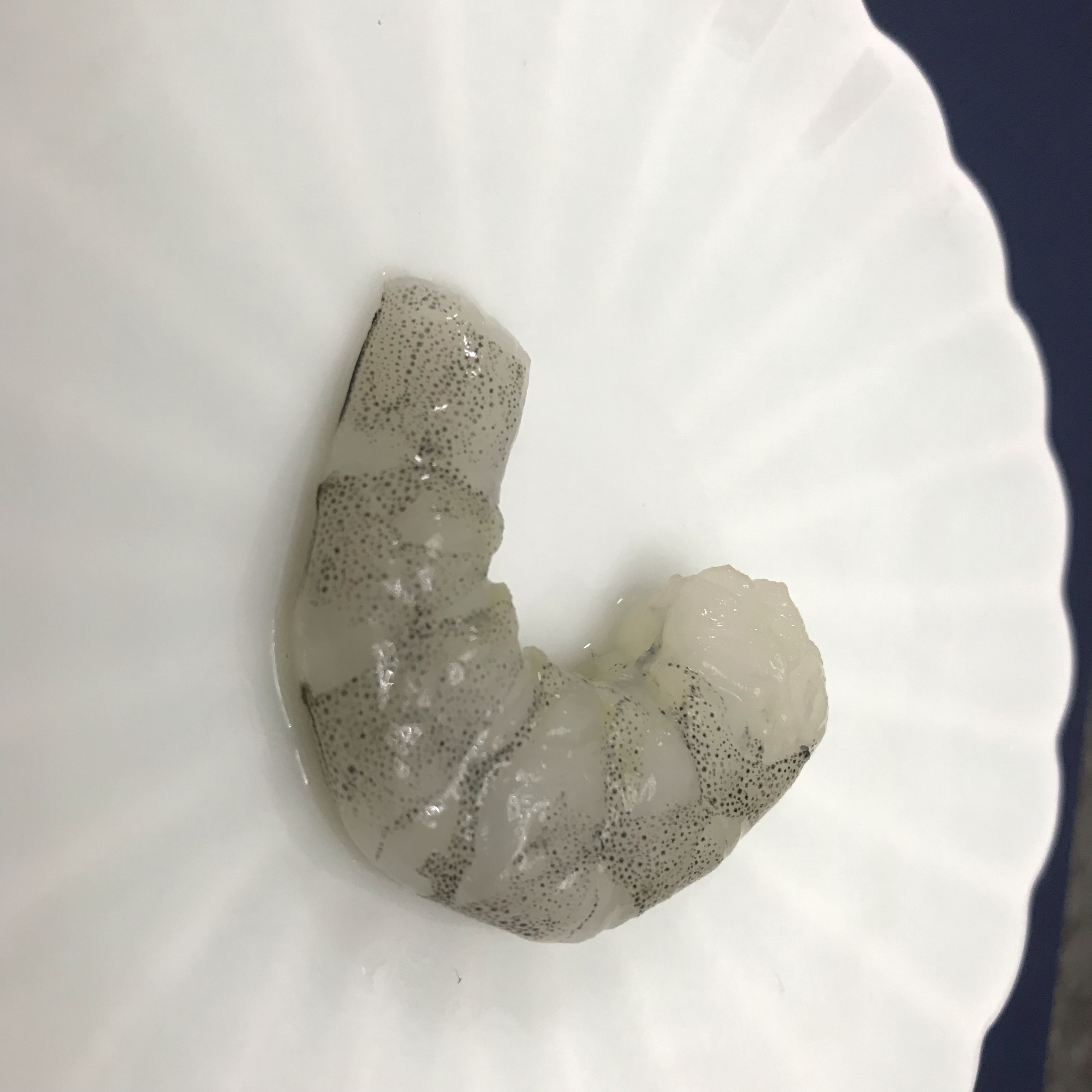 水幕龙粮龙鱼口粮纯虾肉 去头尾 不带壳四斤装