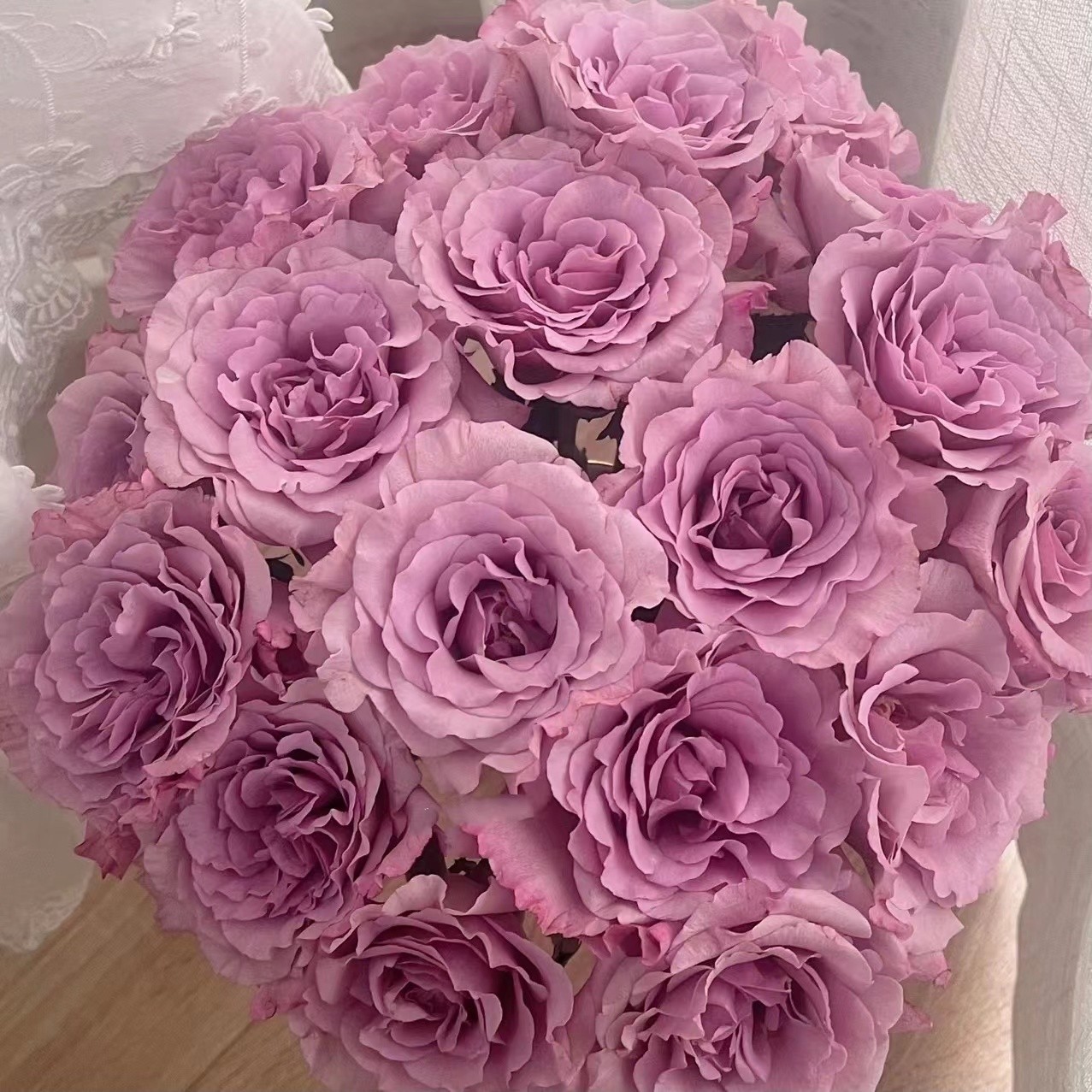 暮光之城单头玫瑰有香味水培鲜花