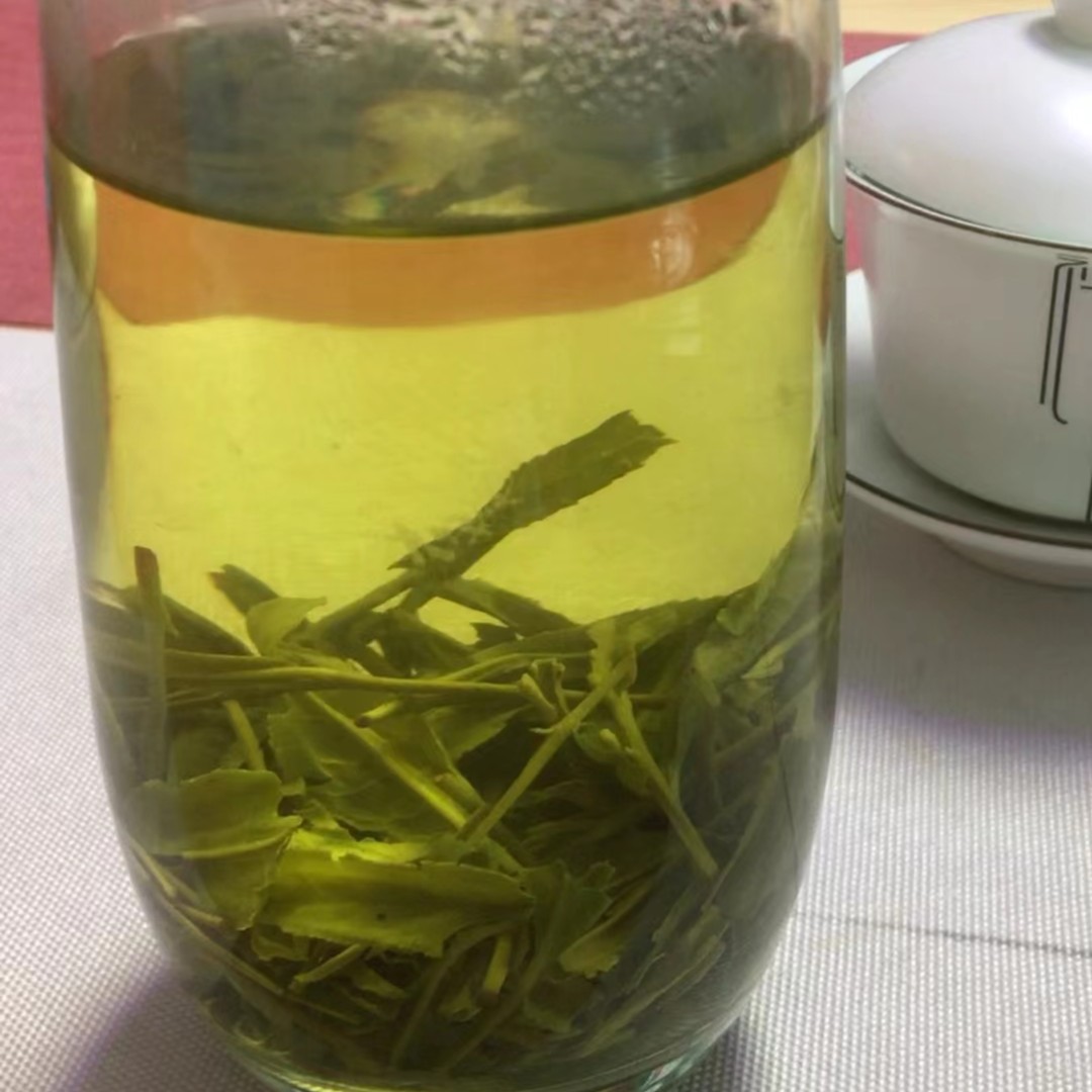 信阳毛尖新茶春口粮茶原产地核心产区浓香耐泡茶叶袋装