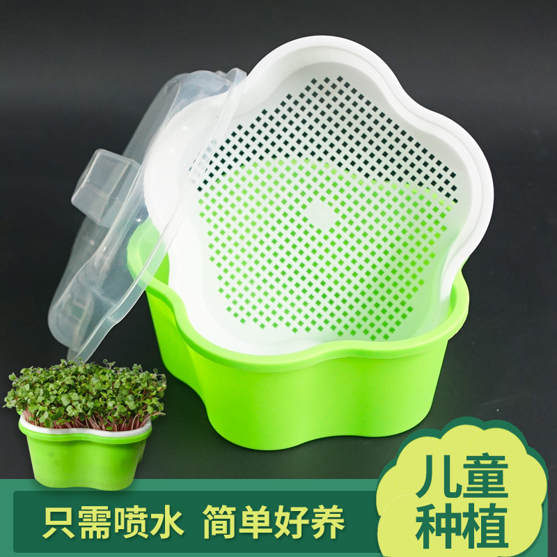 幼儿园植物小盆菜水培蔬菜设备芽苗菜豆芽发芽盆小学生盆栽花朵盘