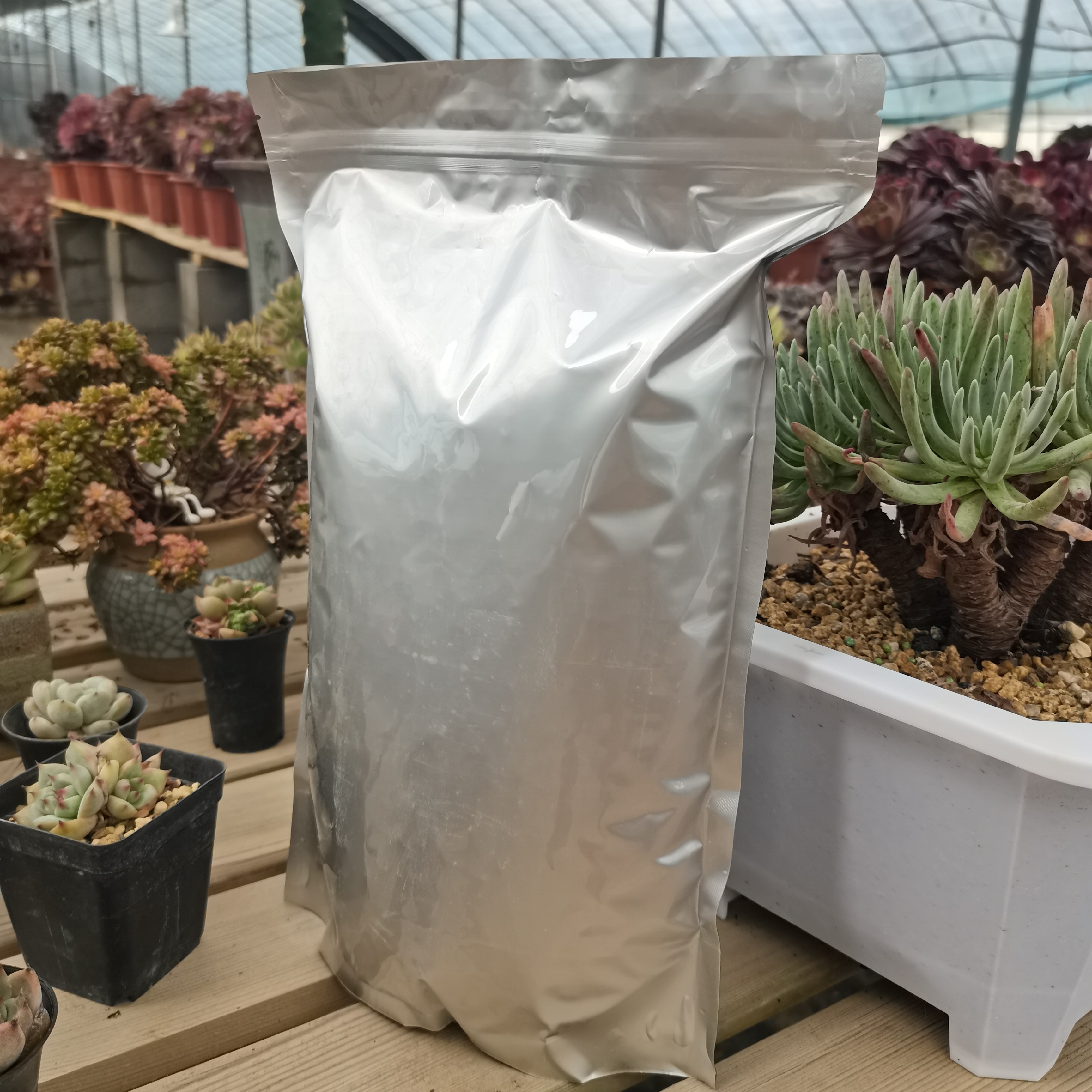 多肉植物专用颗粒土