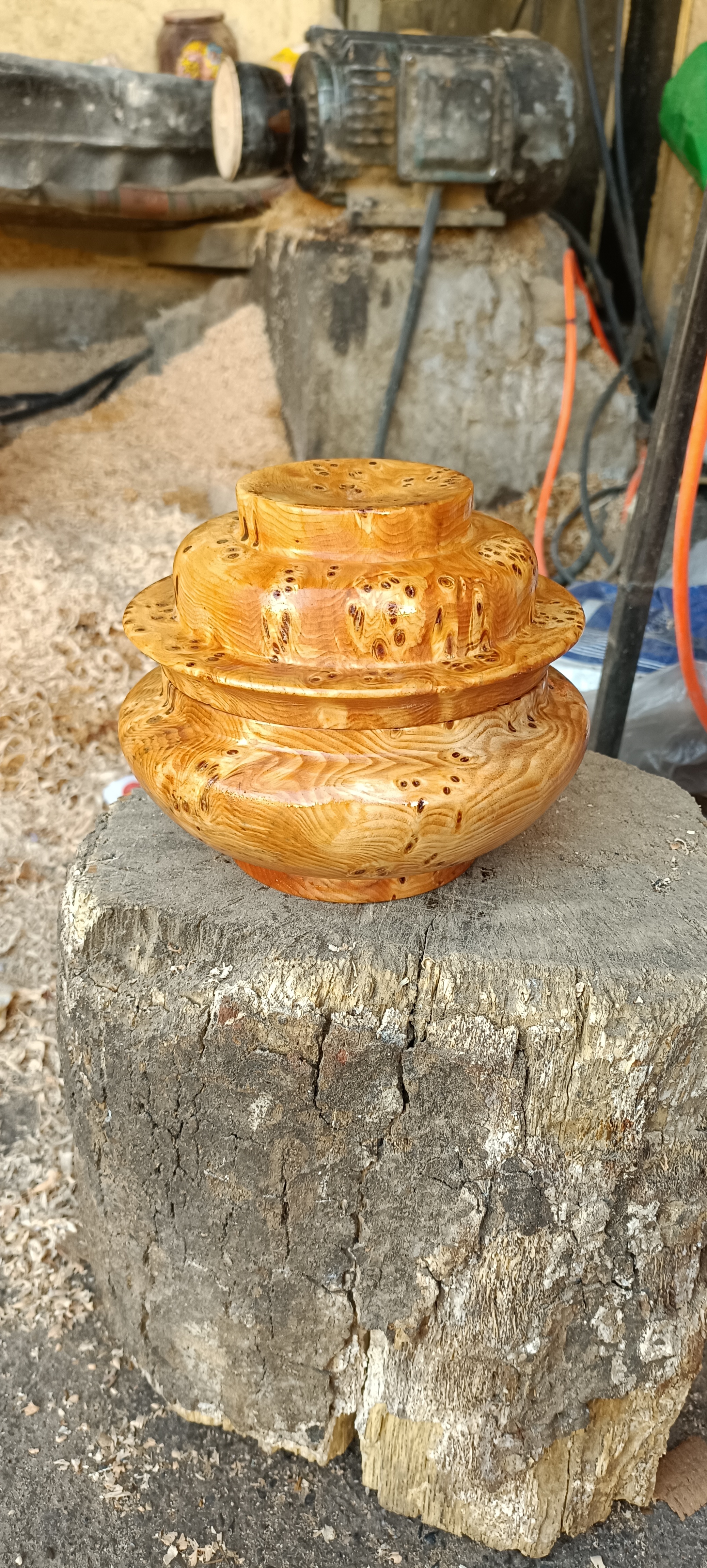 盒子拉察木16公分