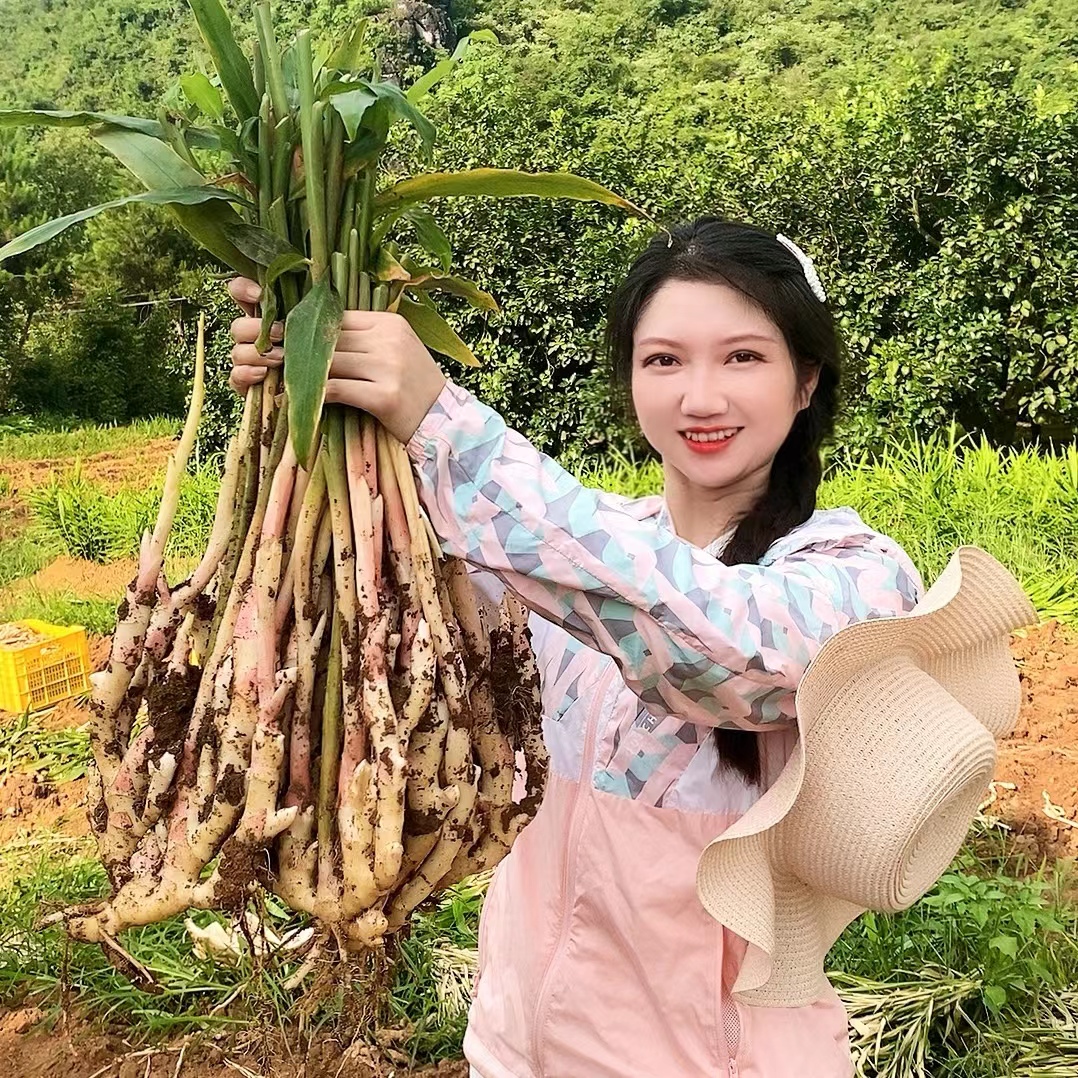 香姜 红芽 嫩姜子姜 口感脆香 无渣不塞牙 500克