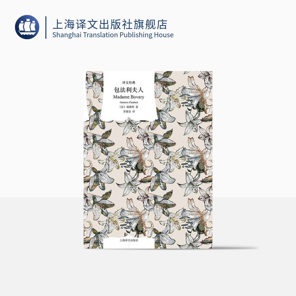 包法利夫人 译文经典  福楼拜 新艺术法典 法国文学名著 上海译文