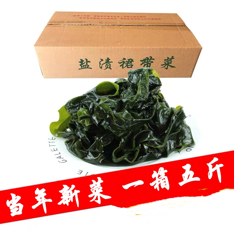 【一箱五斤】盐渍裙带菜叶/海带芽/海白菜/海藻菜/火锅配菜