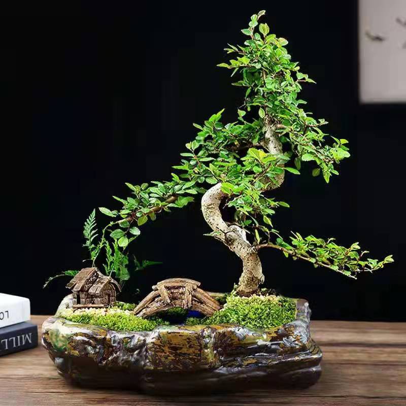 灵璧石头打磨制作天然造型石头花盆桩子兰花多肉盆景