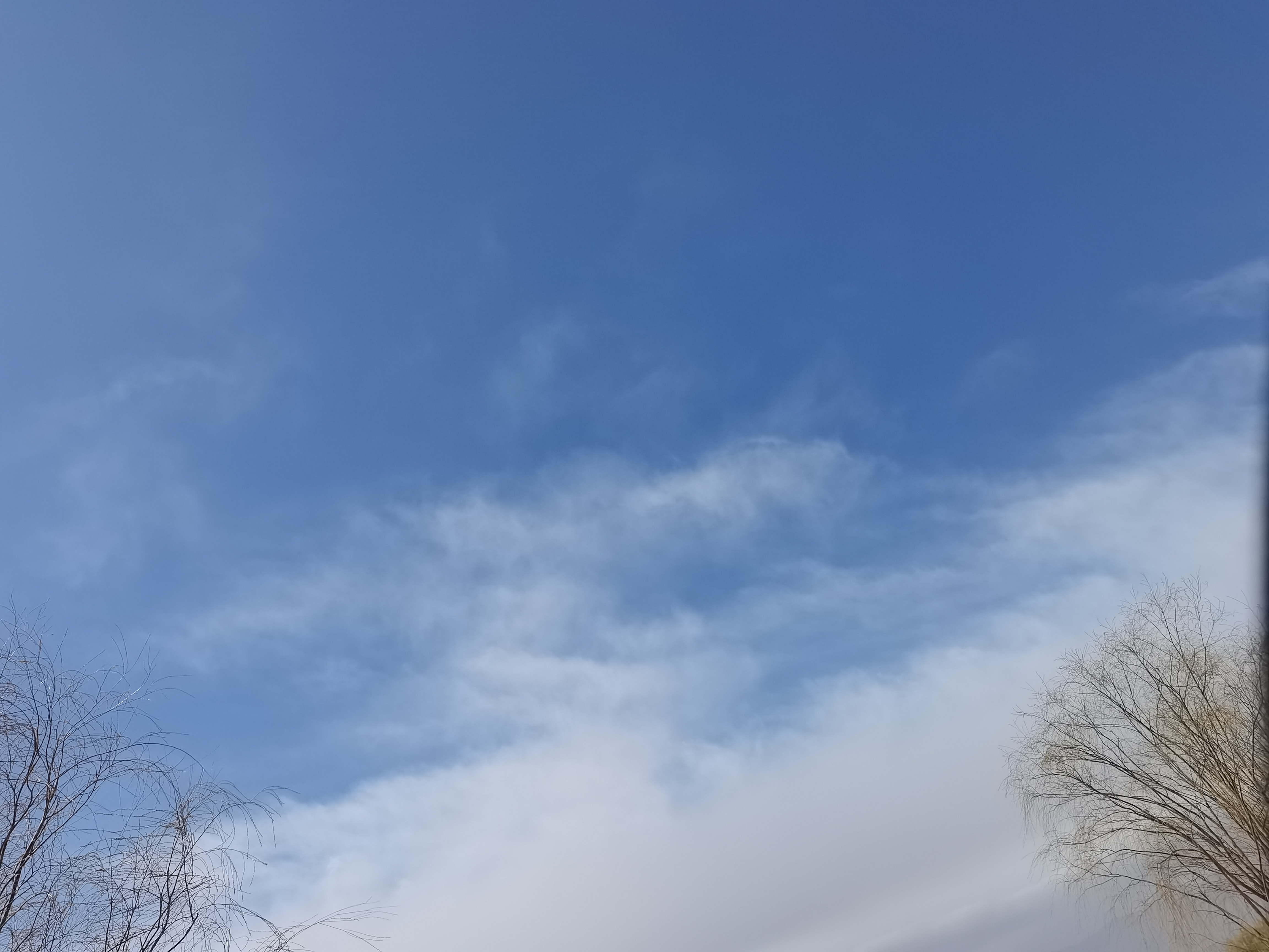 瀚海石缘奇石戈壁石