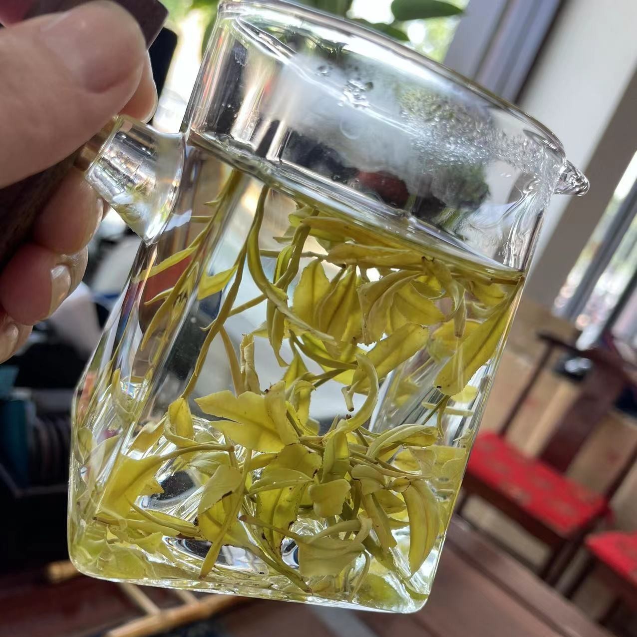 明前黄金芽茶叶新绿茶250克----500克
