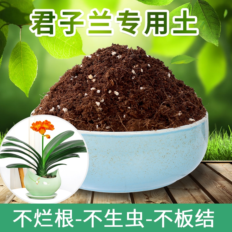 君子兰盆专用土养花种植土通用型营养土椰砖花土家用土壤种花盆栽