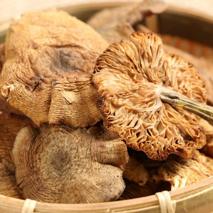 JIYUAN/吉元 东北特产 榛蘑 小鸡炖蘑菇佳品 100克/袋天然优质