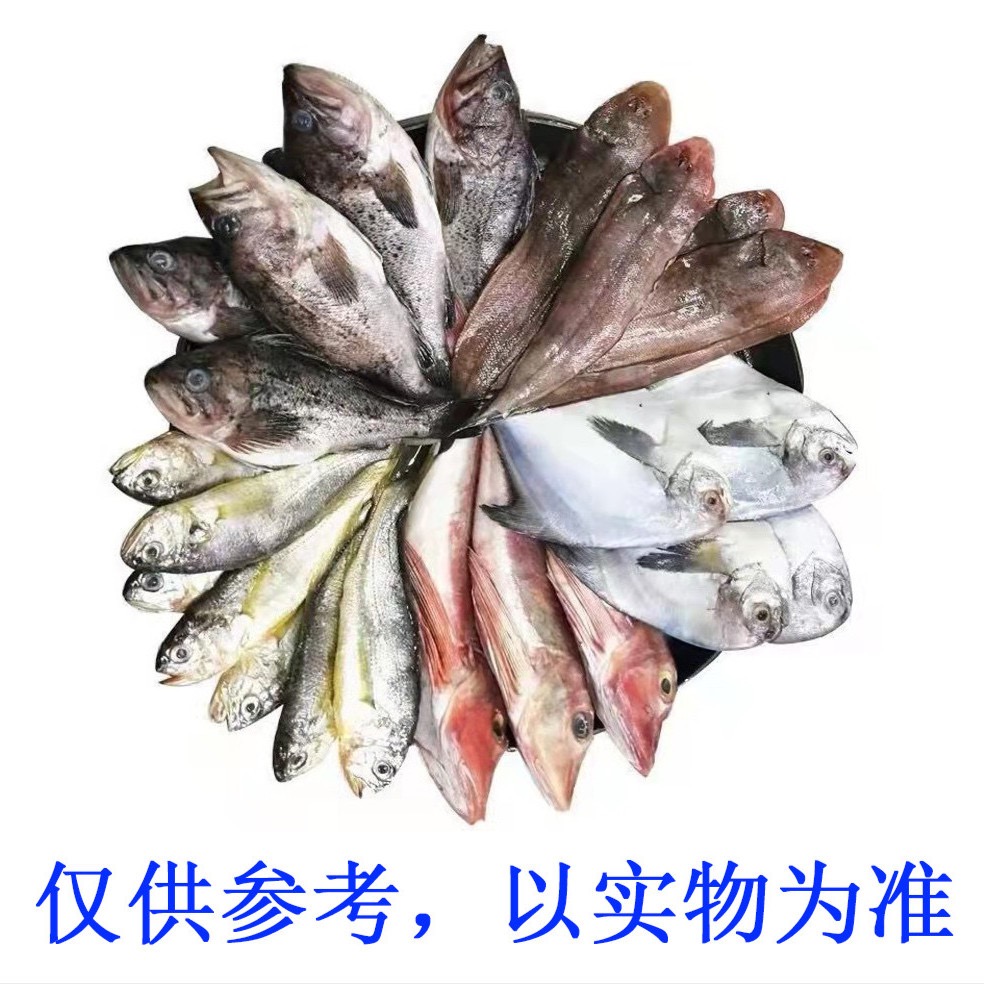 福袋专用4斤大连海鱼