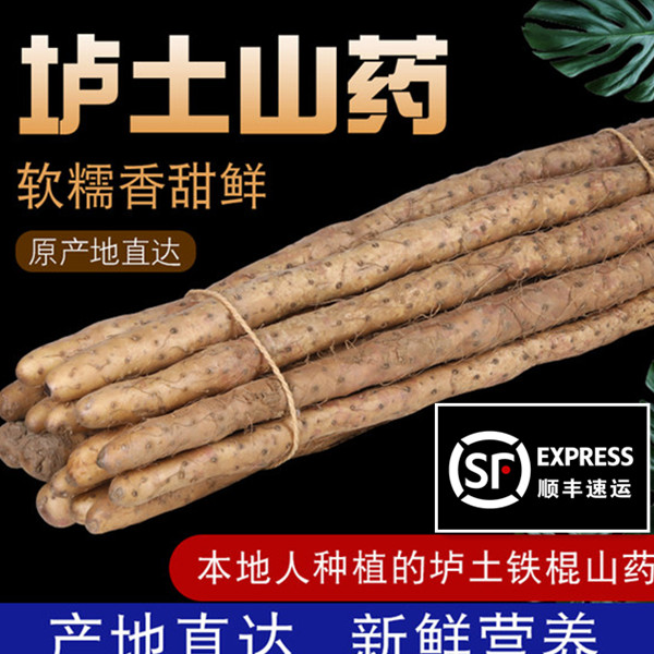 正宗河南垆土焦作温县垆土铁棍山药净重河南焦作种植温县铁棍