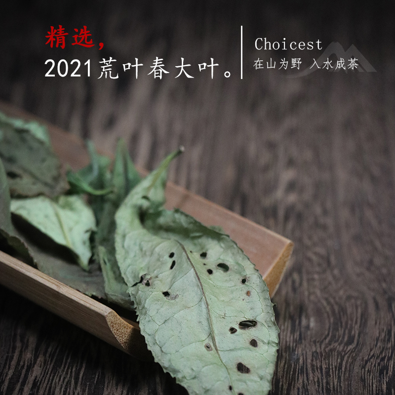 深山行2021荒叶春大叶 福鼎白茶荒野二级寿眉 纯甜鲜爽 20克/盒
