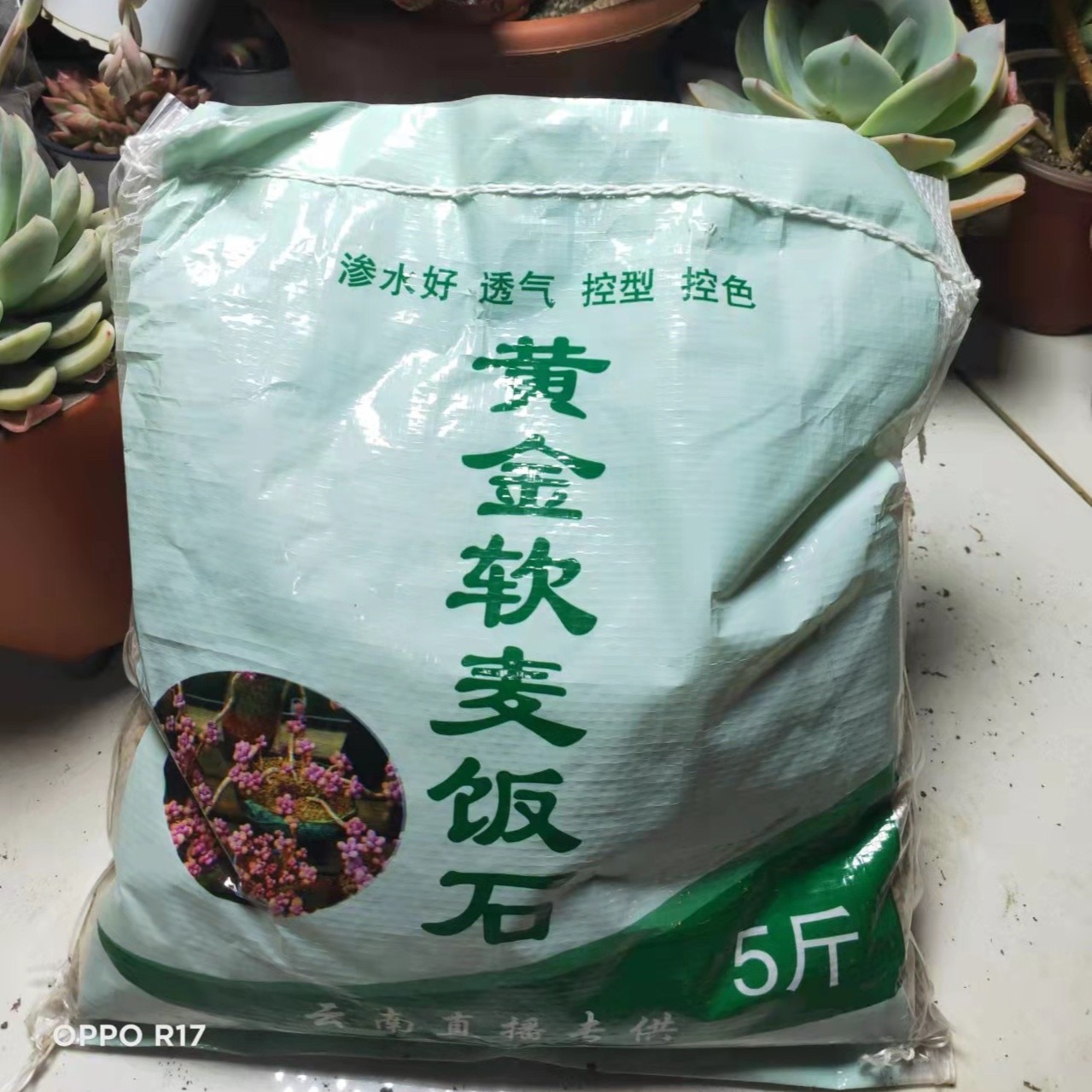 恋上多肉 黄金软麦饭石 两单包邮