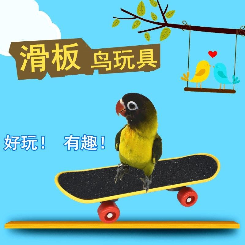 鹦鹉滑板车玩具解闷自嗨磨砂虎皮溜冰鞋训练防咬磨爪板训小鸟工具