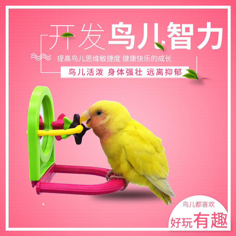珍珠鸟虎皮小型鸟专用牡丹逗鹦鹉的必备玩具耐咬解闷神器鹦鹉玩具
