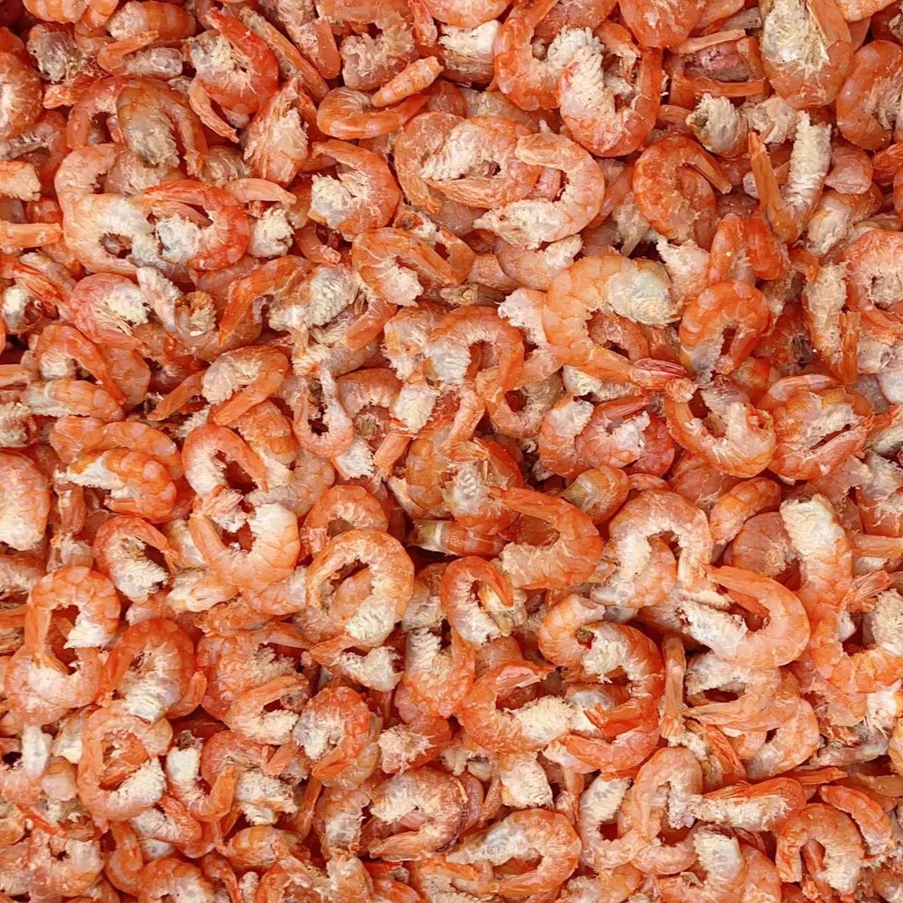 山东渤海中号海米1斤，2斤，3斤