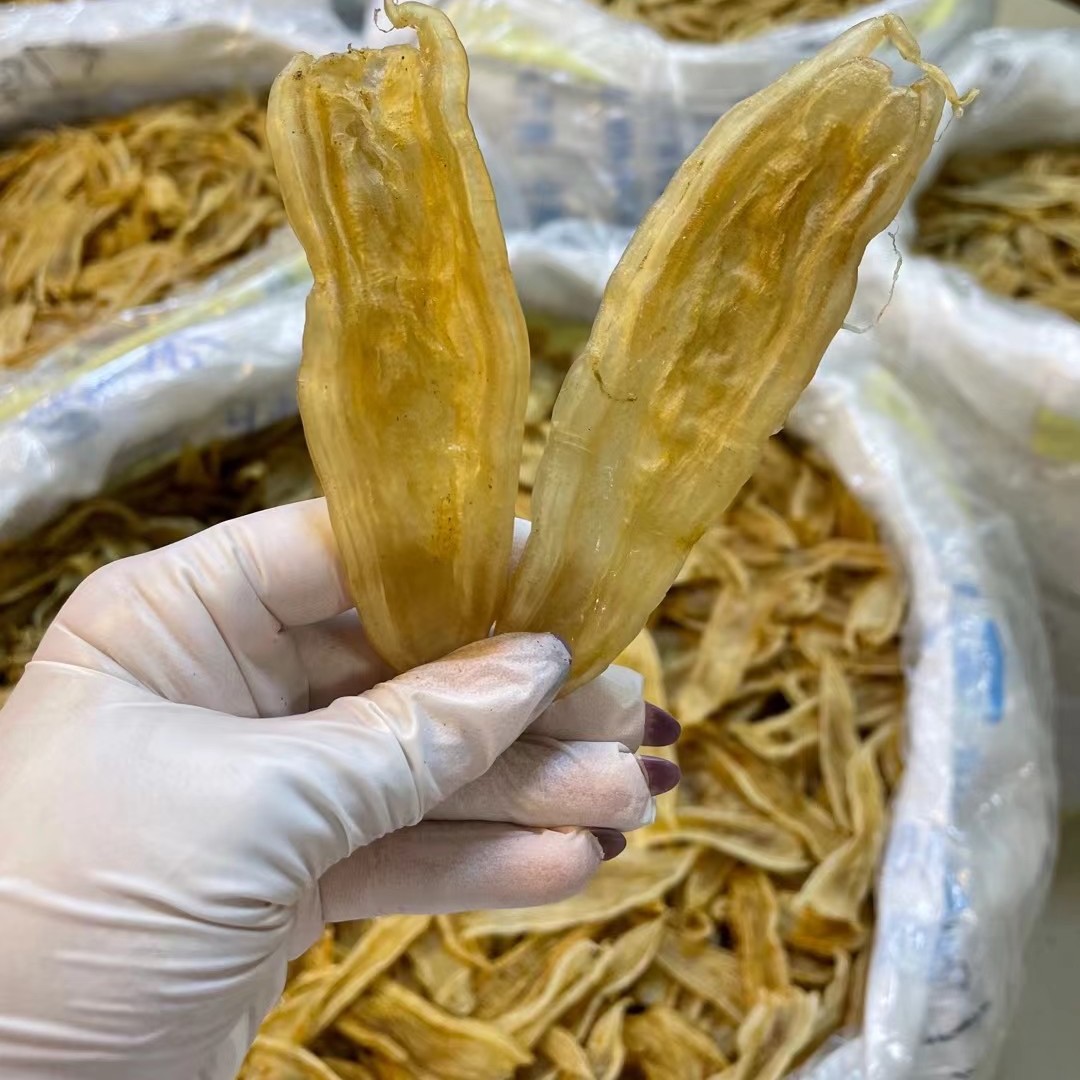 广东鱼胶 双背鱼胶 约70头 250-500g以直播为准